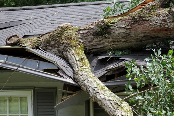 Cost of Storm Remediation in Merrillville