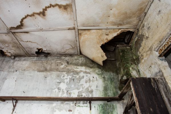 Water Damage Service in Merrillville