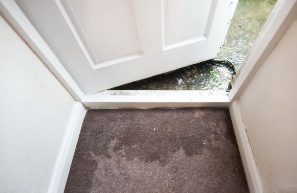 Wet Carpet Restoration in Merrillville