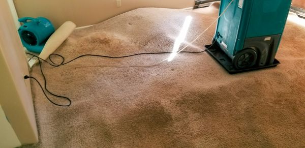 Flood Damage Cleanup in Merrillville