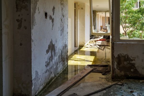 Water Removal Service in Merrillville