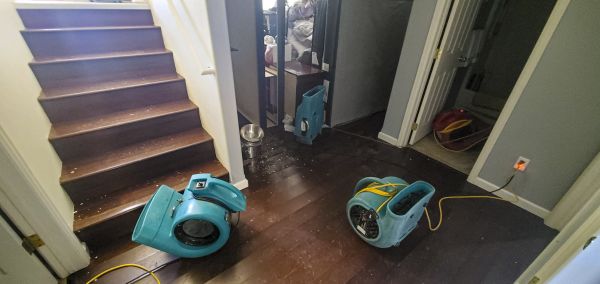Water Damage Remediation in Merrillville